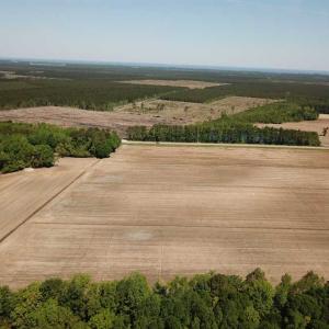 Photo of REDUCED!  83 Acres of Commercial Farm and Timber Land For Sale in Tyrrell County NC!