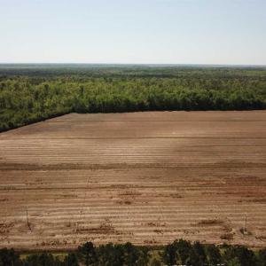 Photo of REDUCED!  83 Acres of Commercial Farm and Timber Land For Sale in Tyrrell County NC!