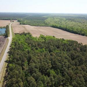 Photo of REDUCED!  83 Acres of Commercial Farm and Timber Land For Sale in Tyrrell County NC!