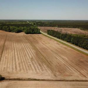 Photo of REDUCED!  83 Acres of Commercial Farm and Timber Land For Sale in Tyrrell County NC!