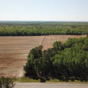 Photo of REDUCED!  83 Acres of Commercial Farm and Timber Land For Sale in Tyrrell County NC!