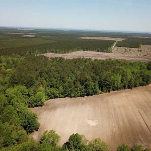 Photo of REDUCED!  83 Acres of Commercial Farm and Timber Land For Sale in Tyrrell County NC!