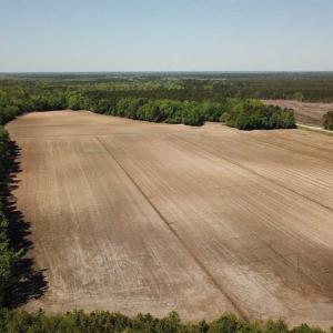 Photo of REDUCED!  83 Acres of Commercial Farm and Timber Land For Sale in Tyrrell County NC!