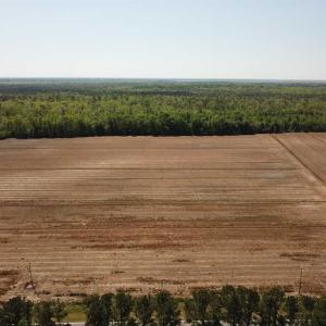 Photo of REDUCED!  83 Acres of Commercial Farm and Timber Land For Sale in Tyrrell County NC!