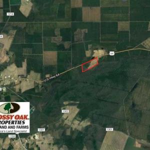 Photo of REDUCED!  83 Acres of Commercial Farm and Timber Land For Sale in Tyrrell County NC!