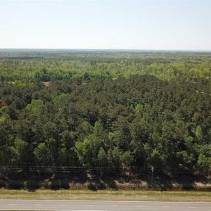 Photo of REDUCED!  83 Acres of Commercial Farm and Timber Land For Sale in Tyrrell County NC!
