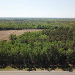Photo of REDUCED!  83 Acres of Commercial Farm and Timber Land For Sale in Tyrrell County NC!