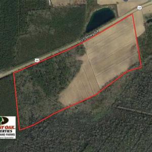 Photo of REDUCED!  83 Acres of Commercial Farm and Timber Land For Sale in Tyrrell County NC!