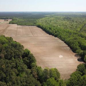 Photo of REDUCED!  83 Acres of Commercial Farm and Timber Land For Sale in Tyrrell County NC!