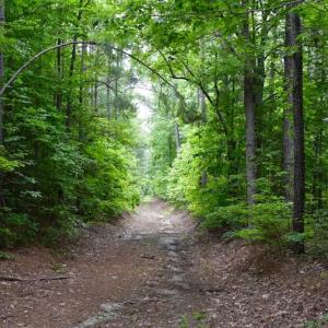 Photo of UNDER CONTRACT!  42.5 Acres of Hunting Land with Lodge For Sale in Brunswick County VA!