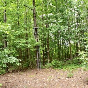 Photo of UNDER CONTRACT!  42.5 Acres of Hunting Land with Lodge For Sale in Brunswick County VA!