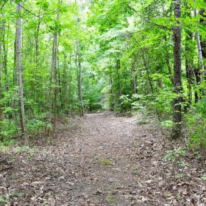 Photo of UNDER CONTRACT!  42.5 Acres of Hunting Land with Lodge For Sale in Brunswick County VA!