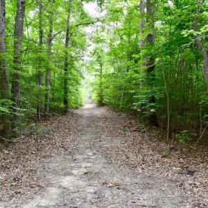 Photo of UNDER CONTRACT!  42.5 Acres of Hunting Land with Lodge For Sale in Brunswick County VA!