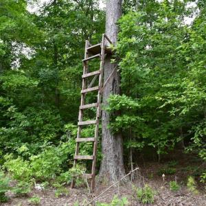 Photo of UNDER CONTRACT!  42.5 Acres of Hunting Land with Lodge For Sale in Brunswick County VA!