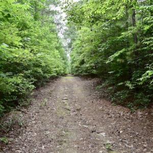 Photo of UNDER CONTRACT!  42.5 Acres of Hunting Land with Lodge For Sale in Brunswick County VA!