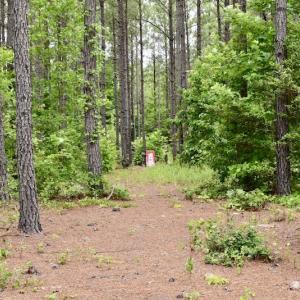 Photo of UNDER CONTRACT!  42.5 Acres of Hunting Land with Lodge For Sale in Brunswick County VA!