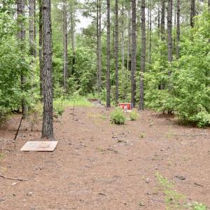 Photo of UNDER CONTRACT!  42.5 Acres of Hunting Land with Lodge For Sale in Brunswick County VA!