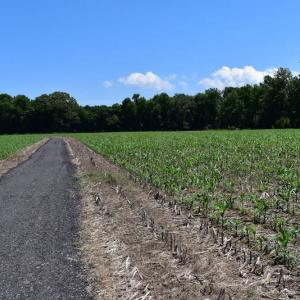 Photo of UNDER CONTRACT!  55 Acres of Waterfront Multipurpose Land For Sale in James City County VA!