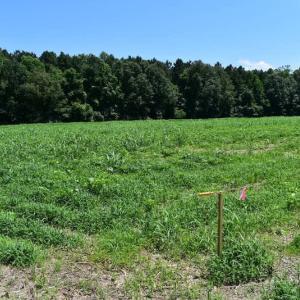 Photo of UNDER CONTRACT!  55 Acres of Waterfront Multipurpose Land For Sale in James City County VA!