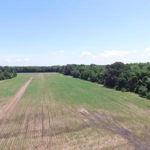Photo of UNDER CONTRACT!  55 Acres of Waterfront Multipurpose Land For Sale in James City County VA!