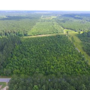 Photo of UNDER CONTRACT!  22 Acres of Wooded Hunting Land For Sale in Greensville County VA!