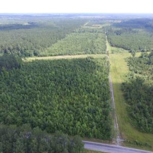 Photo of UNDER CONTRACT!  22 Acres of Wooded Hunting Land For Sale in Greensville County VA!