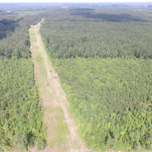 Photo of UNDER CONTRACT!  22 Acres of Wooded Hunting Land For Sale in Greensville County VA!