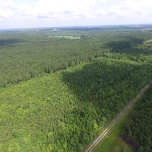 Photo of UNDER CONTRACT!  22 Acres of Wooded Hunting Land For Sale in Greensville County VA!