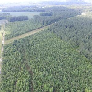 Photo of UNDER CONTRACT!  22 Acres of Wooded Hunting Land For Sale in Greensville County VA!