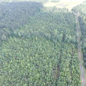 Photo of UNDER CONTRACT!  22 Acres of Wooded Hunting Land For Sale in Greensville County VA!
