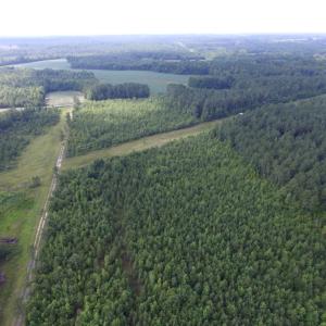 Photo of UNDER CONTRACT!  22 Acres of Wooded Hunting Land For Sale in Greensville County VA!