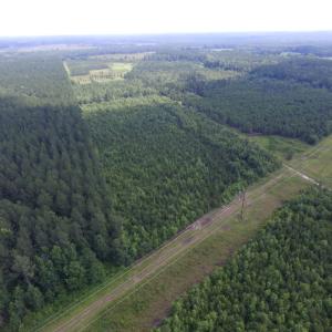 Photo of UNDER CONTRACT!  22 Acres of Wooded Hunting Land For Sale in Greensville County VA!