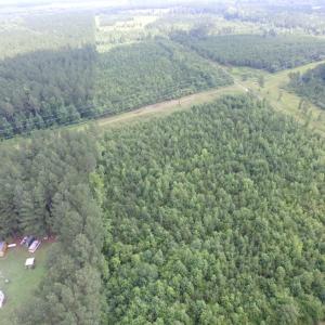 Photo of UNDER CONTRACT!  22 Acres of Wooded Hunting Land For Sale in Greensville County VA!