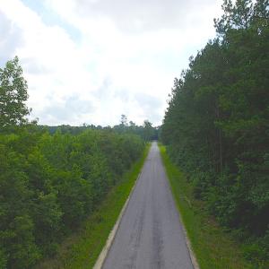 Photo of UNDER CONTRACT!  22 Acres of Wooded Hunting Land For Sale in Greensville County VA!
