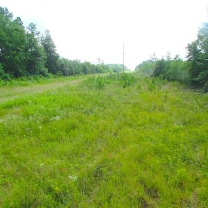 Photo of UNDER CONTRACT!  22 Acres of Wooded Hunting Land For Sale in Greensville County VA!
