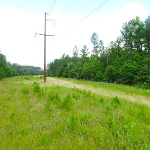 Photo of UNDER CONTRACT!  22 Acres of Wooded Hunting Land For Sale in Greensville County VA!