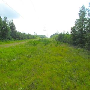 Photo of UNDER CONTRACT!  22 Acres of Wooded Hunting Land For Sale in Greensville County VA!