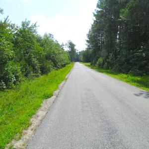 Photo of UNDER CONTRACT!  22 Acres of Wooded Hunting Land For Sale in Greensville County VA!