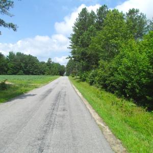 Photo of UNDER CONTRACT!  22 Acres of Wooded Hunting Land For Sale in Greensville County VA!