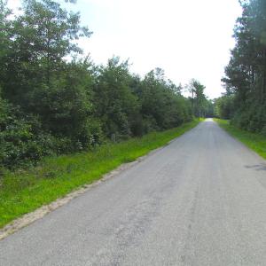 Photo of UNDER CONTRACT!  22 Acres of Wooded Hunting Land For Sale in Greensville County VA!