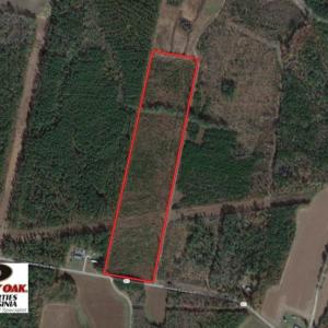 Photo of UNDER CONTRACT!  22 Acres of Wooded Hunting Land For Sale in Greensville County VA!