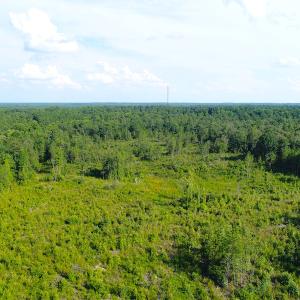 Photo of UNDER CONTRACT!  23 Acres of Residential and Recreational Property For Sale in Harnett County NC!