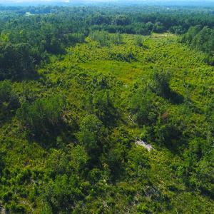 Photo of UNDER CONTRACT!  23 Acres of Residential and Recreational Property For Sale in Harnett County NC!
