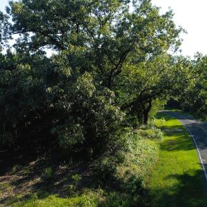 Photo of UNDER CONTRACT!  23 Acres of Residential and Recreational Property For Sale in Harnett County NC!