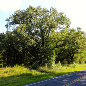 Photo of UNDER CONTRACT!  23 Acres of Residential and Recreational Property For Sale in Harnett County NC!