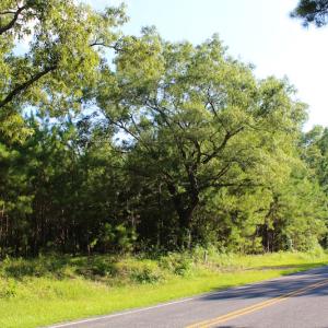Photo of UNDER CONTRACT!  23 Acres of Residential and Recreational Property For Sale in Harnett County NC!