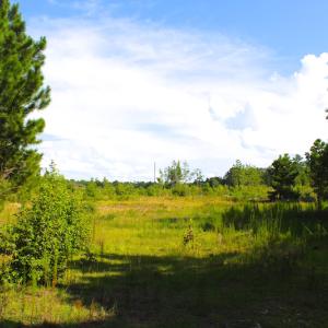 Photo of UNDER CONTRACT!  23 Acres of Residential and Recreational Property For Sale in Harnett County NC!
