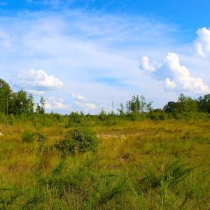 Photo of UNDER CONTRACT!  23 Acres of Residential and Recreational Property For Sale in Harnett County NC!