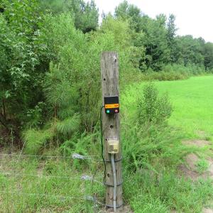 Photo of SOLD!  101 Acres of Hunting Land For Sale in Cumberland County NC!