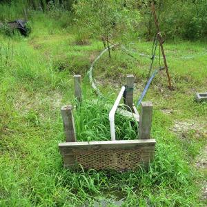 Photo of SOLD!  101 Acres of Hunting Land For Sale in Cumberland County NC!